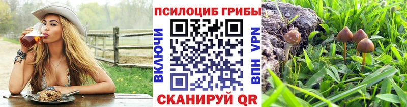 Псилоцибиновые грибы прущие грибы  hydra зеркало  Протвино  купить наркоту 